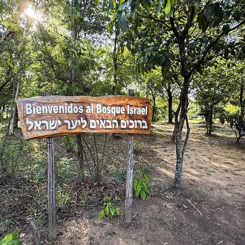 Dr. José Benjamín Pérez Matos participó en la plantación de un árbol en el “Bosque Israel” de Asunción